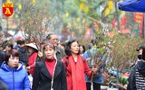 Rực rỡ sắc xuân ở chợ hoa Hàng Lược